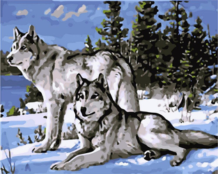 Wilki na śniegu Malowanie Po Numerach