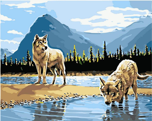 Wilki w jeziorze Malowanie Po Numerach