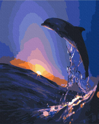 Zachód słońca i delfin